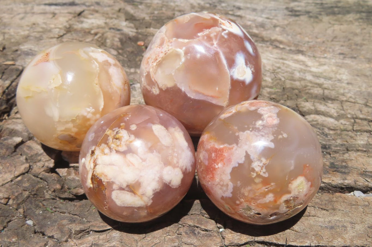 Polished Flower Agate Items x 10 From Madagascar - Toprock Gemstones and Minerals 