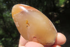 Polished Flower Agate Items x 10 From Madagascar - Toprock Gemstones and Minerals 