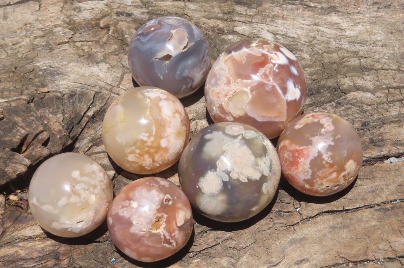 Polished Flower Agate Items x 10 From Madagascar - Toprock Gemstones and Minerals 