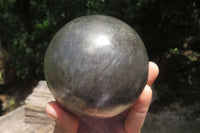 Polished Pharaoh Stone Sphere x 1 From Zimbabwe - Toprock Gemstones and Minerals 