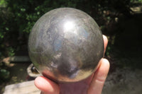 Polished Pharaoh Stone Sphere x 1 From Zimbabwe - Toprock Gemstones and Minerals 