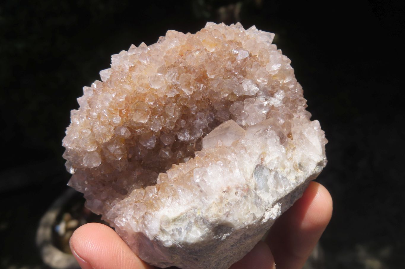 Natural Spirit Quartz Clusters x 6 From Boekenhouthoek, South Africa - Toprock Gemstones and Minerals 