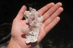 Natural Spirit Quartz Clusters x 6 From Boekenhouthoek, South Africa - Toprock Gemstones and Minerals 
