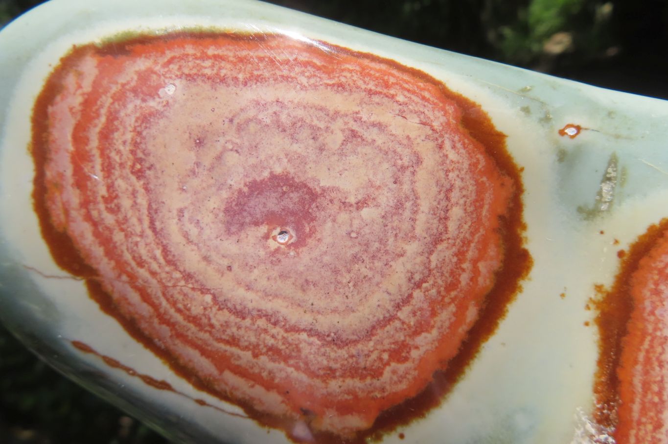 Polished Polychrome Jasper Standing Free Forms x 3 From Mahajanga, Madagascar - Toprock Gemstones and Minerals 