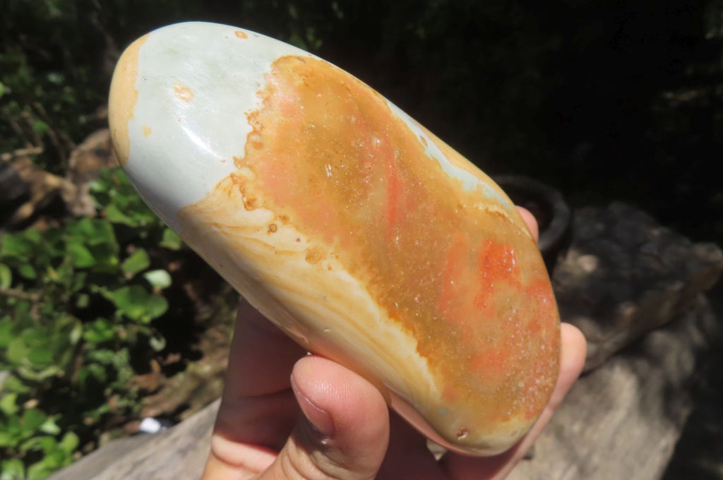 Polished Polychrome Jasper Standing Free Forms x 3 From Mahajanga, Madagascar - Toprock Gemstones and Minerals 