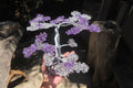 Hand Made Rock Crystal and Amethyst Wire Wrap Tree On Crystal Amethyst Base - Sold Per Item -  From Zambia - Toprock Gemstones and Minerals 
