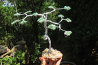Hand Made Aventurine and Zambian Quartz Wire Wrap Gemstone Tree On Crystal Base - Sold Per Item -  From Zambia - Toprock Gemstones and Minerals 