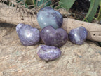 Polished Lepidolite with Pink Rubellite Gemstone Hearts x 6 From Madagascar - Toprock Gemstones and Minerals 