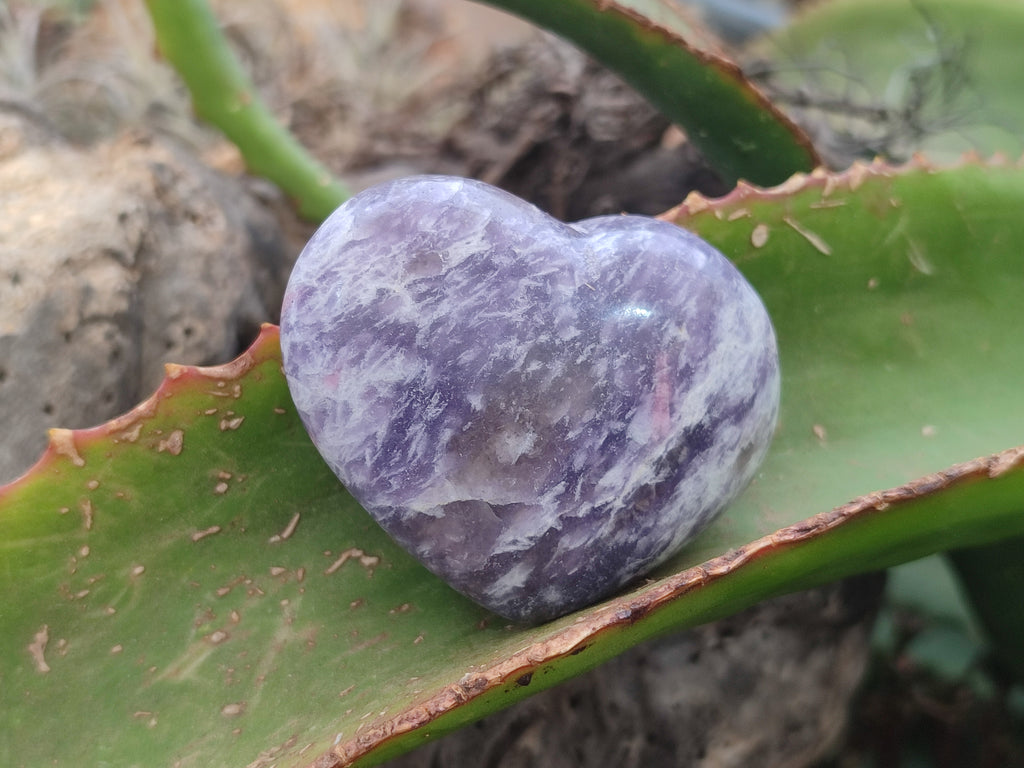 Polished Lepidolite with Pink Rubellite Gemstone Hearts x 6 From Madagascar - Toprock Gemstones and Minerals 
