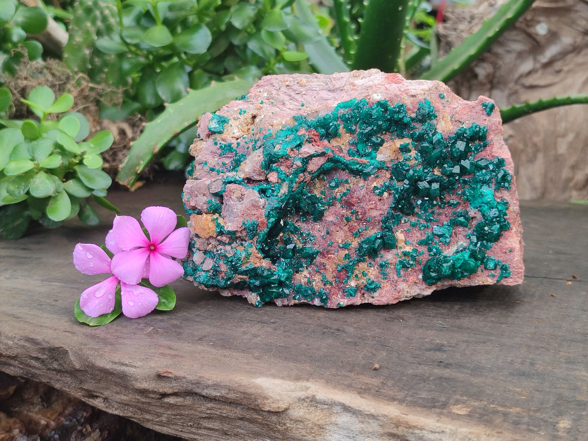 Natural Dioptase Cabinet Specimen x 1 From Reneville Brazzaville, Congo - Toprock Gemstones and Minerals 