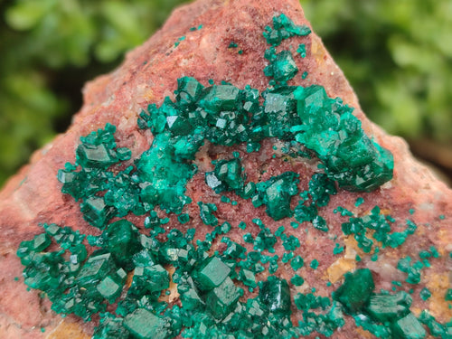 Natural Dioptase Cabinet Specimen x 1 From Reneville Brazzaville, Congo - Toprock Gemstones and Minerals 
