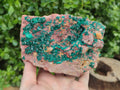 Natural Dioptase Cabinet Specimen x 1 From Reneville Brazzaville, Congo - Toprock Gemstones and Minerals 