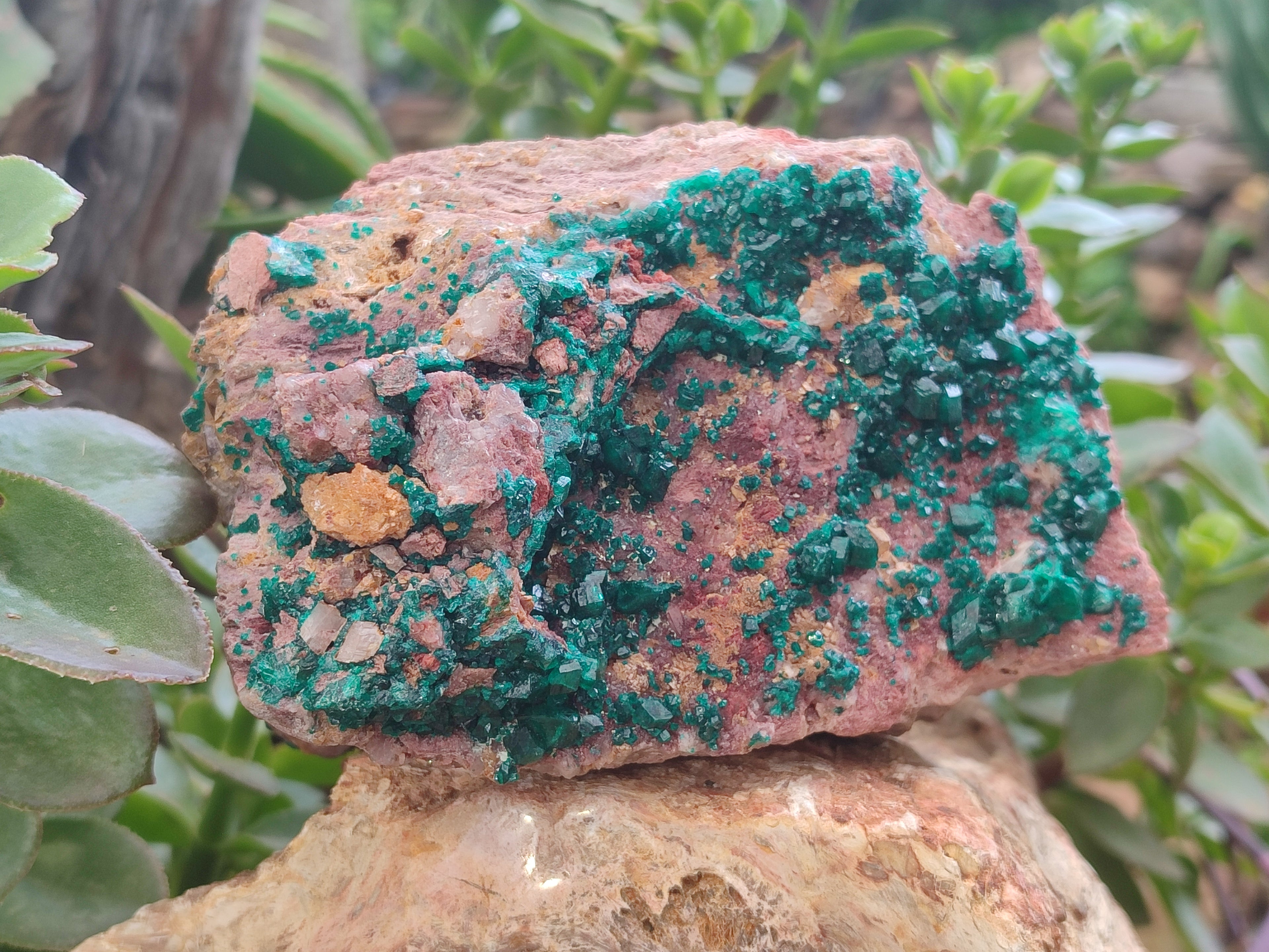 Natural Dioptase Cabinet Specimen x 1 From Reneville Brazzaville, Congo - Toprock Gemstones and Minerals 