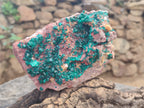 Natural Dioptase Cabinet Specimen x 1 From Reneville Brazzaville, Congo - Toprock Gemstones and Minerals 