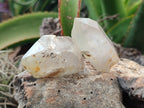 Natural Quartz Crystals x 23 From Madagascar - Toprock Gemstones and Minerals 