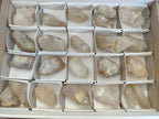 Natural Quartz Crystals x 23 From Madagascar - Toprock Gemstones and Minerals 