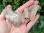 Natural Quartz Crystals x 23 From Madagascar - Toprock Gemstones and Minerals 