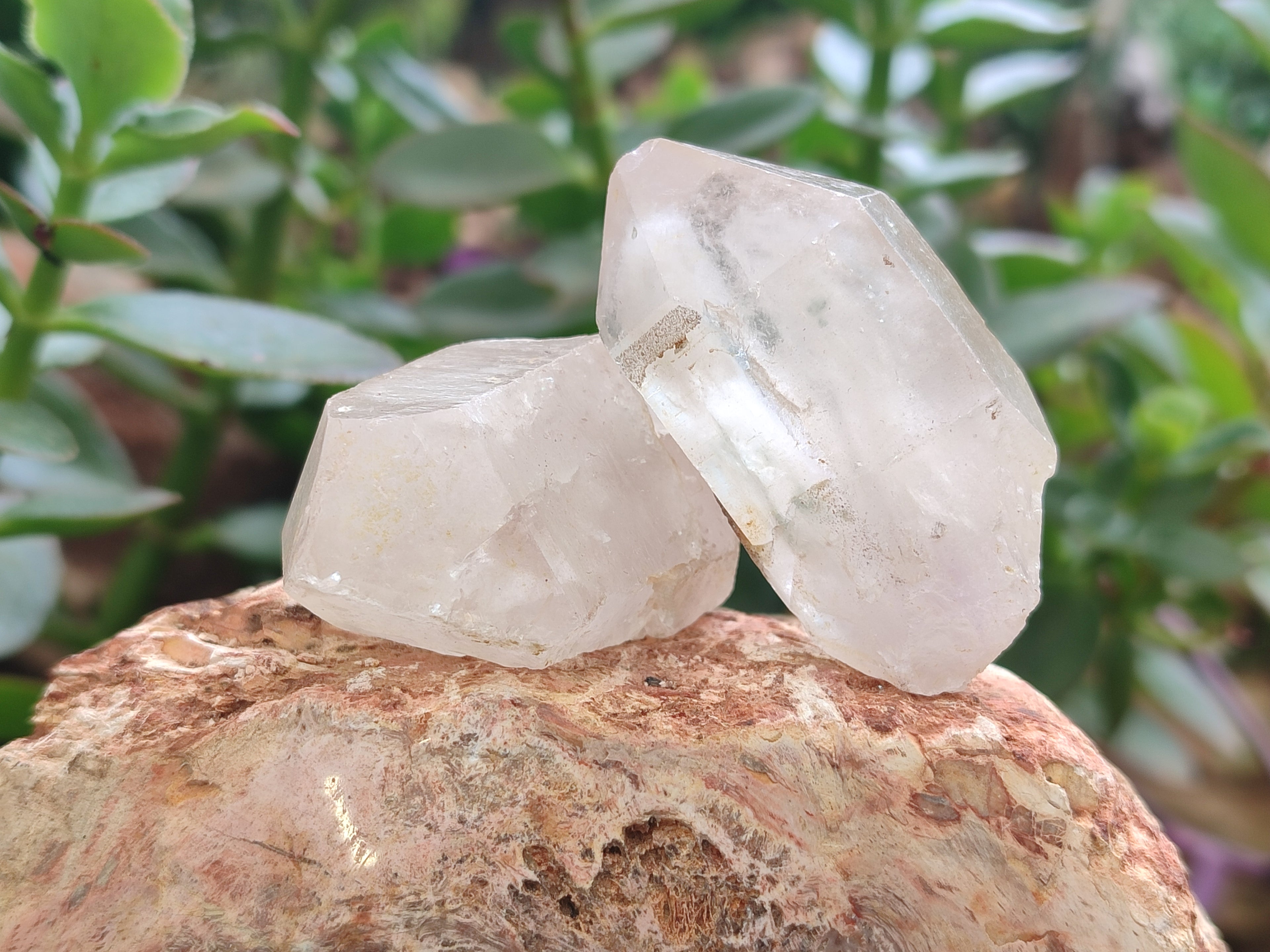 Natural Quartz Crystals x 23 From Madagascar - Toprock Gemstones and Minerals 