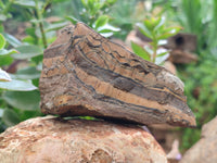 Polished On One Side Tiger's Eye Slabs x 6 From South Africa