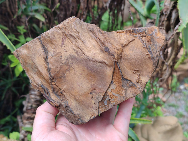 Polished On One Side Tiger's Eye Slabs x 6 From South Africa