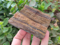 Polished On One Side Tiger's Eye Slabs x 6 From South Africa