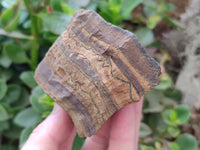 Polished On One Side Tiger's Eye Slabs x 6 From South Africa