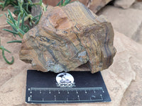 Polished On One Side Tiger's Eye Slabs x 6 From South Africa