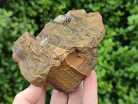 Polished On One Side Tiger's Eye Slabs x 6 From South Africa