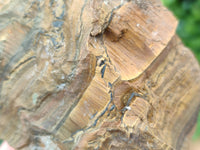 Polished On One Side Tiger's Eye Slabs x 6 From South Africa