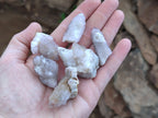 Natural Spirit Quartz Clusters x 22 From Boekenhouthoek, South Africa - Toprock Gemstones and Minerals 