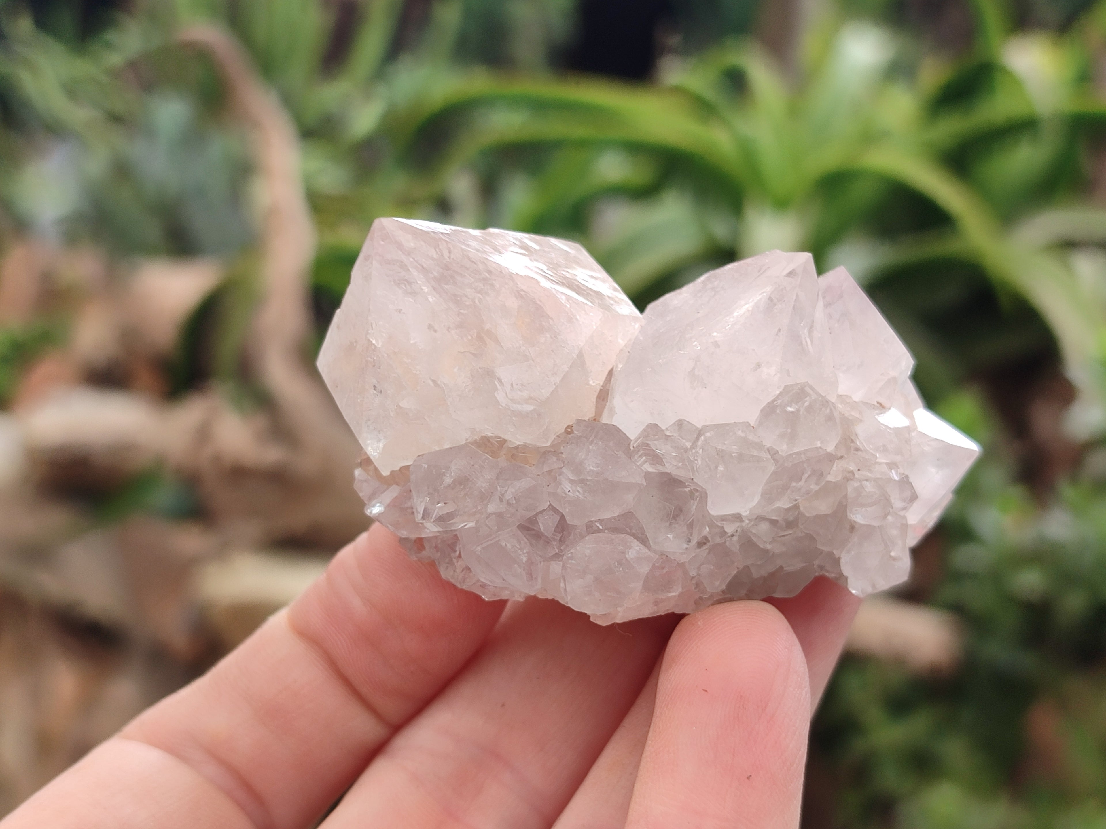 Natural Spirit Quartz Clusters x 22 From Boekenhouthoek, South Africa - Toprock Gemstones and Minerals 