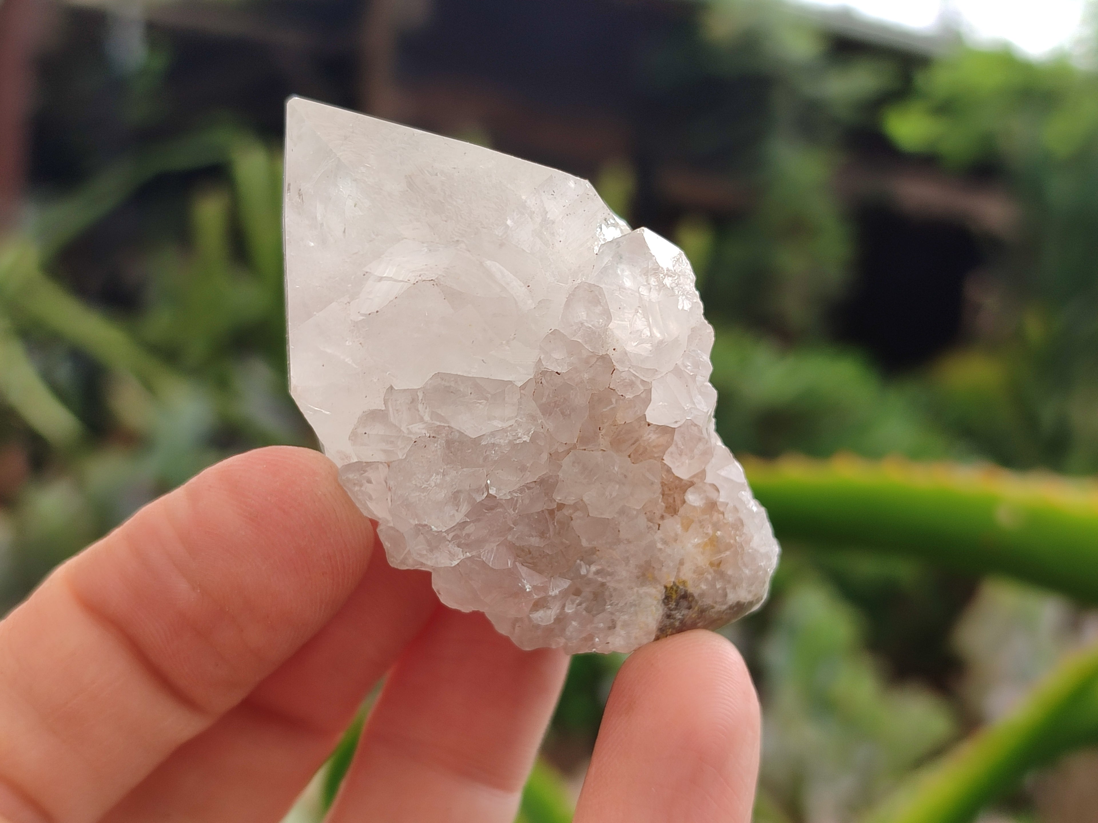 Natural Spirit Quartz Clusters x 22 From Boekenhouthoek, South Africa - Toprock Gemstones and Minerals 