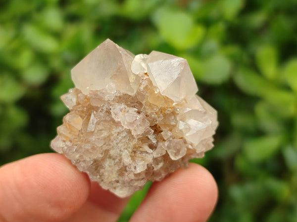 Natural Spirit Quartz Clusters x 22 From Boekenhouthoek, South Africa - Toprock Gemstones and Minerals 