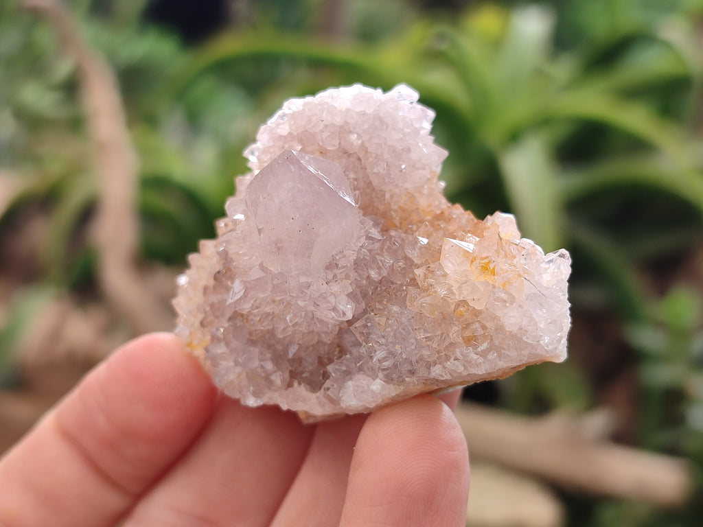 Natural Spirit Quartz Clusters x 22 From Boekenhouthoek, South Africa - Toprock Gemstones and Minerals 