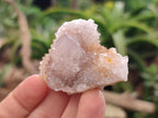 Natural Spirit Quartz Clusters x 22 From Boekenhouthoek, South Africa - Toprock Gemstones and Minerals 