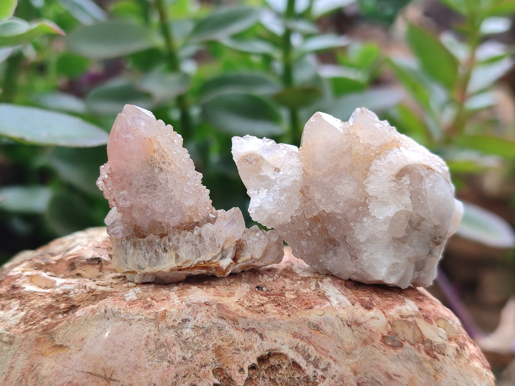 Natural Spirit Quartz Clusters x 22 From Boekenhouthoek, South Africa - Toprock Gemstones and Minerals 