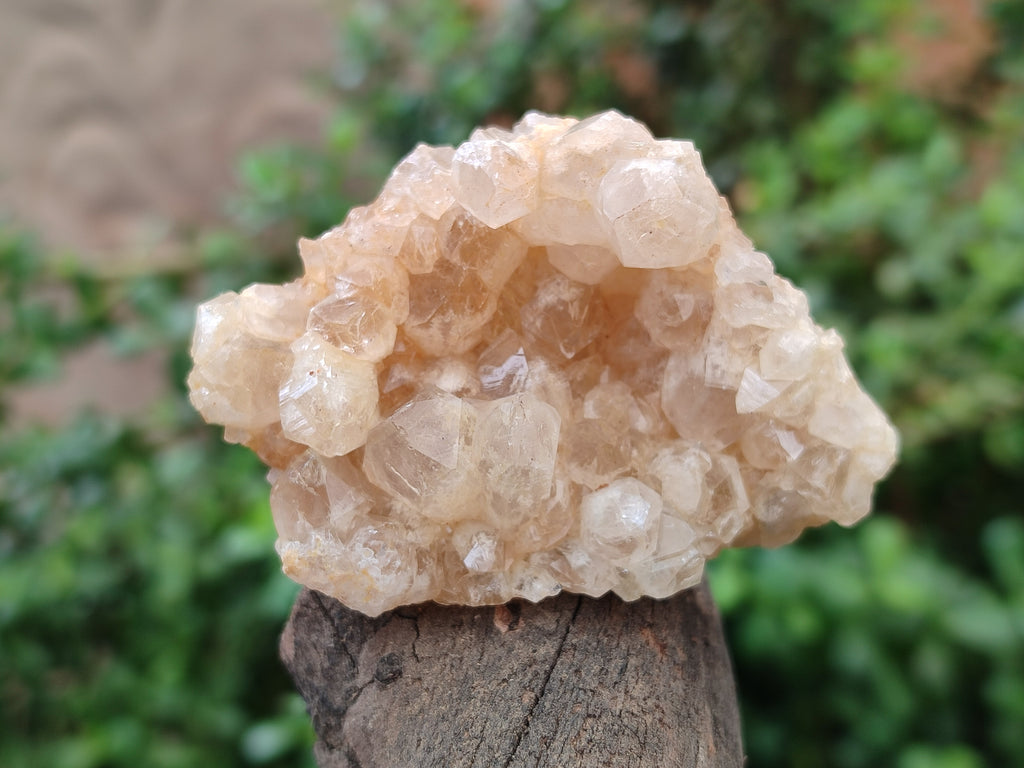 Natural Limonite Quartz Clusters x 24 From Zambia - Toprock Gemstones and Minerals 