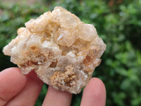 Natural Limonite Quartz Clusters x 24 From Zambia