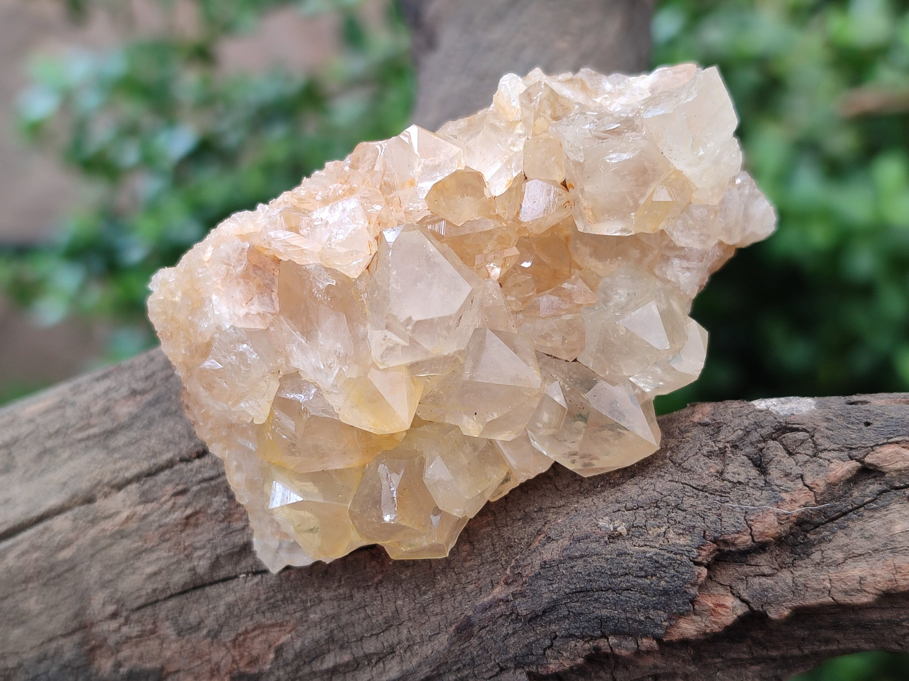 Natural Limonite Quartz Clusters x 24 From Zambia - Toprock Gemstones and Minerals 