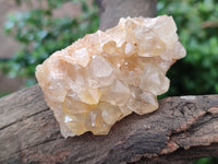 Natural Limonite Quartz Clusters x 24 From Zambia
