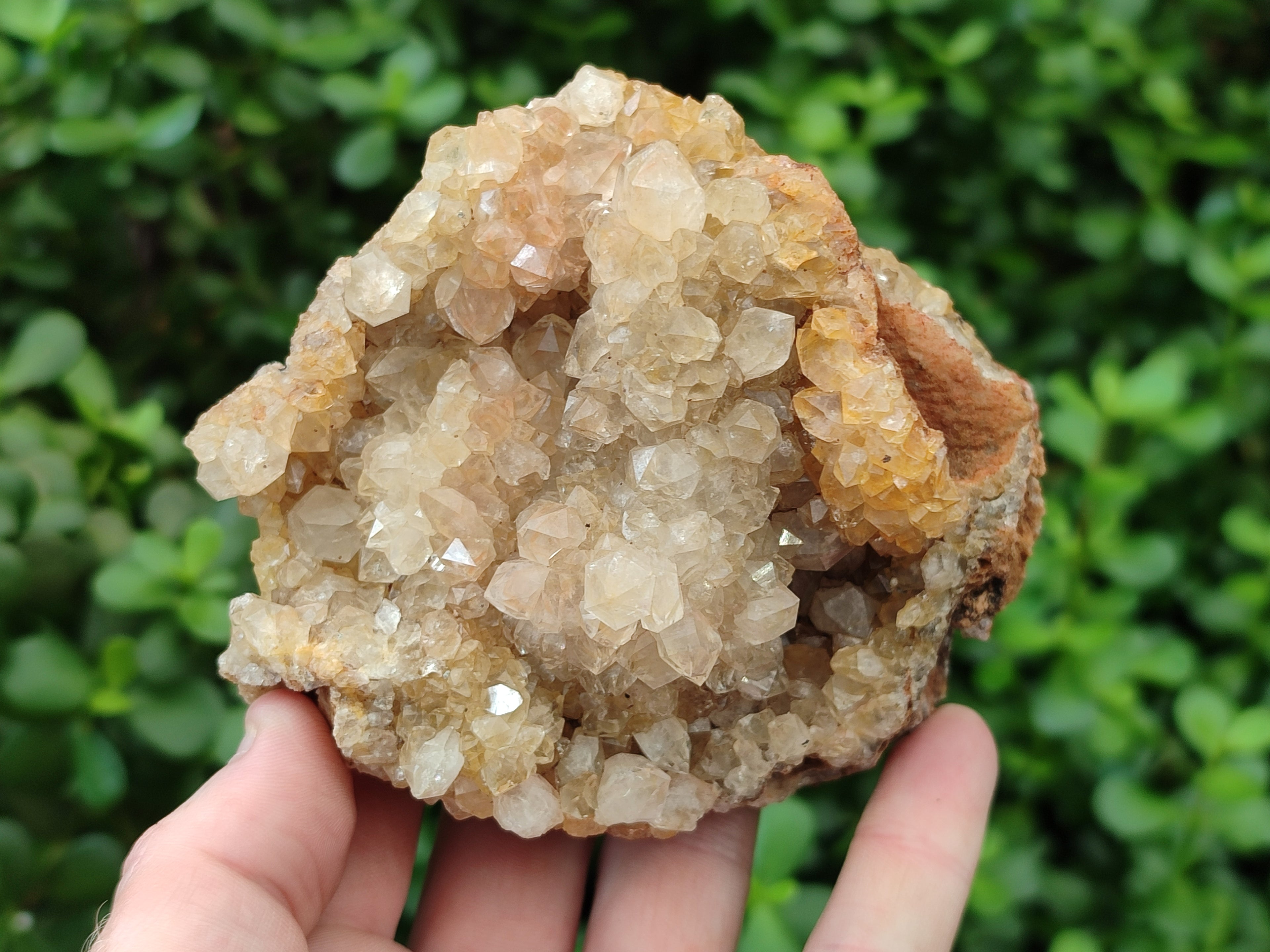 Natural Limonite Quartz Clusters x 2 From Zambia - Toprock Gemstones and Minerals 
