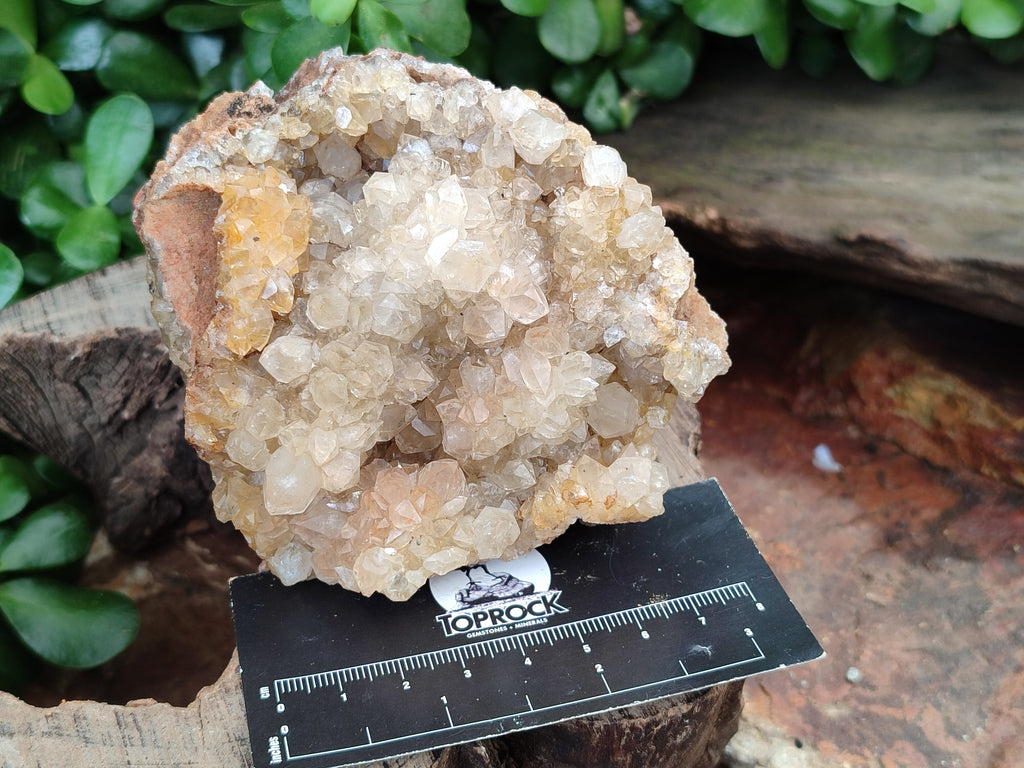Natural Limonite Quartz Clusters x 2 From Zambia - Toprock Gemstones and Minerals 