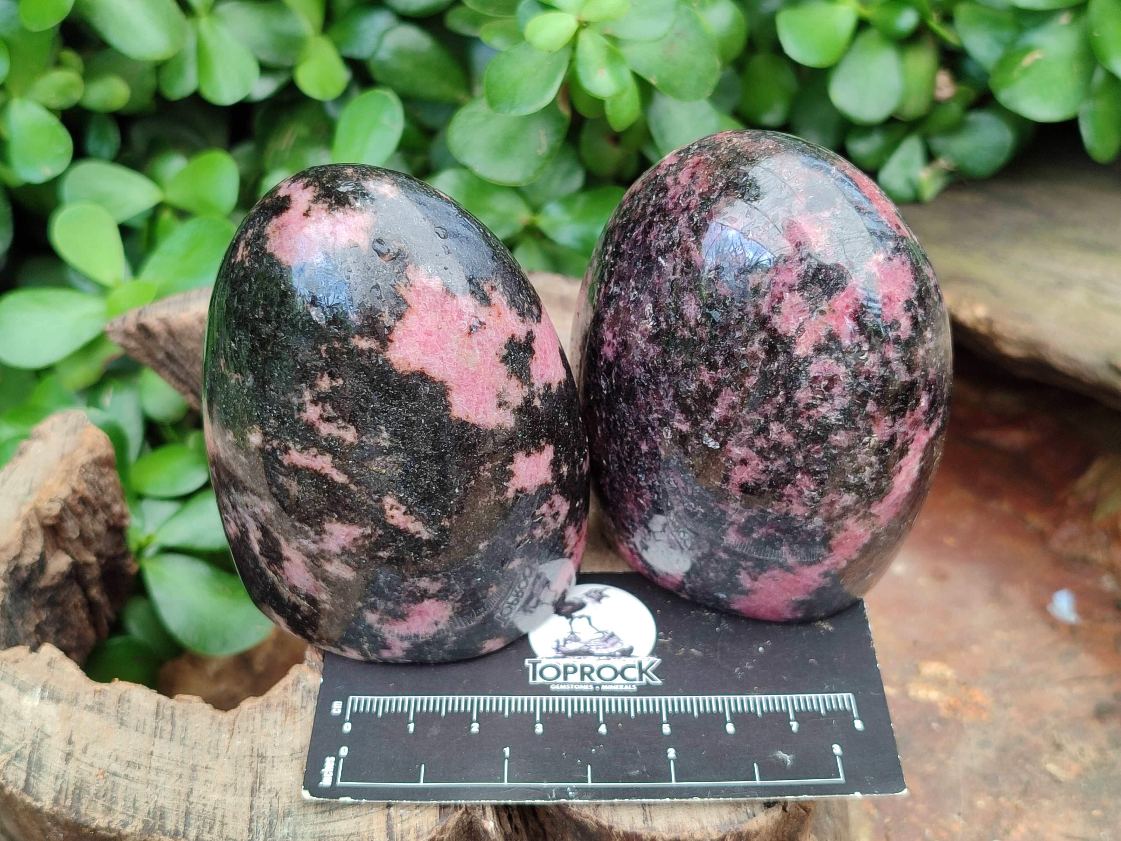 Polished Rhodonite Standing Free Forms x 4 From Madagascar - Toprock Gemstones and Minerals 