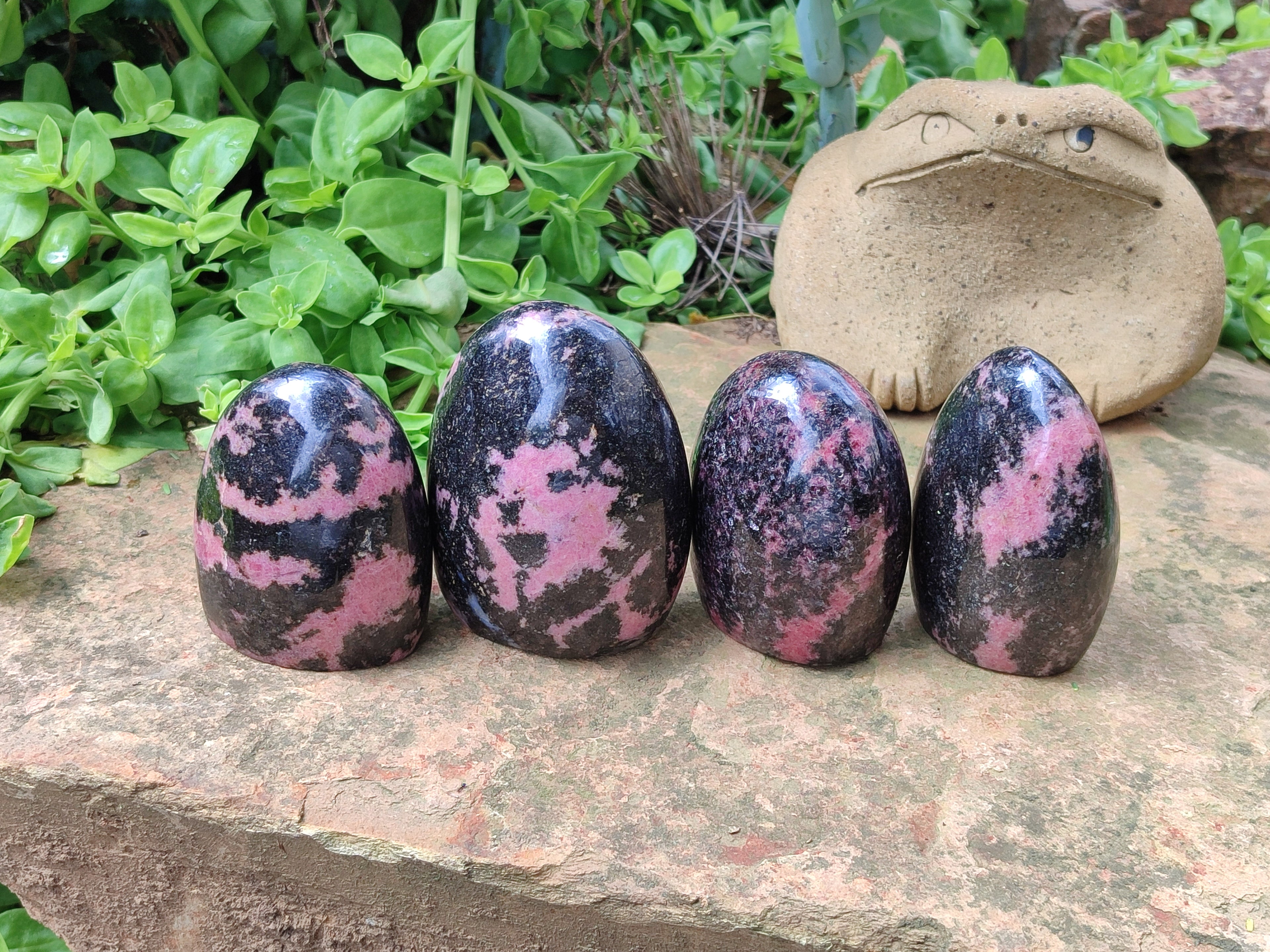 Polished Rhodonite Standing Free Forms x 4 From Madagascar - Toprock Gemstones and Minerals 