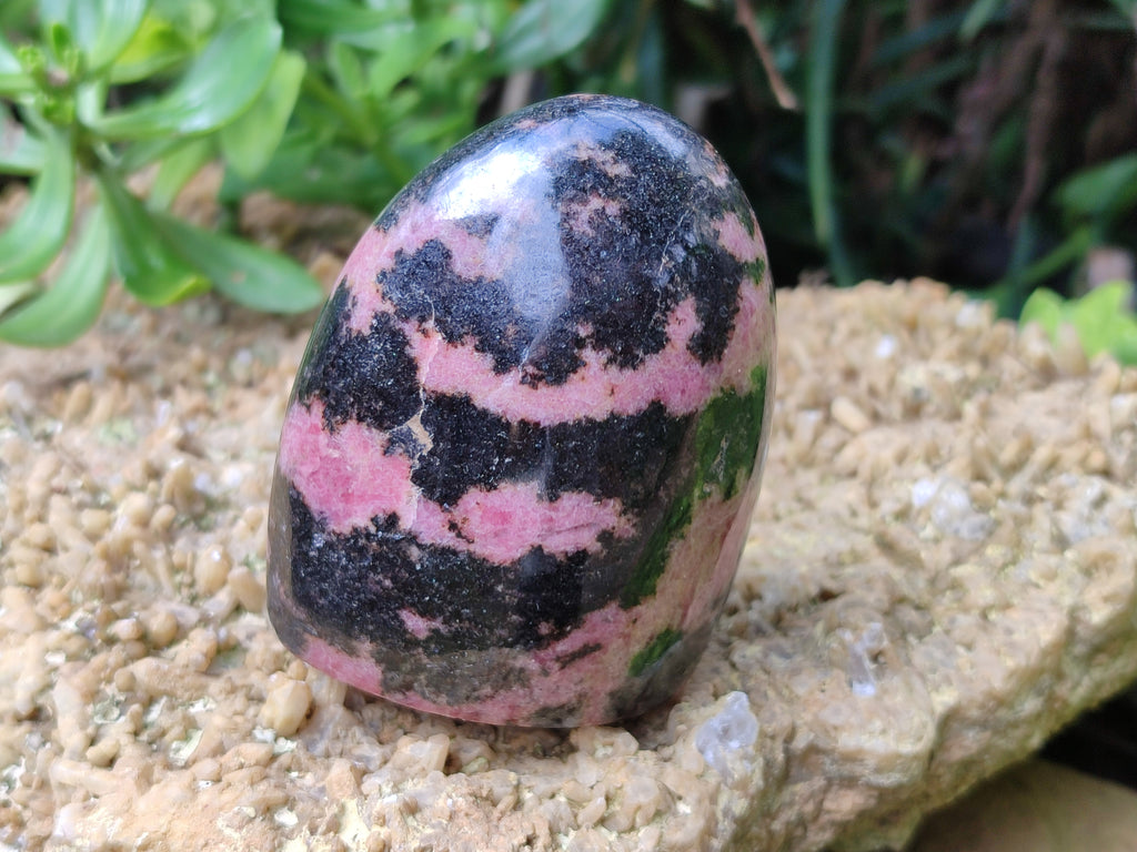 Polished Rhodonite Standing Free Forms x 4 From Madagascar - Toprock Gemstones and Minerals 