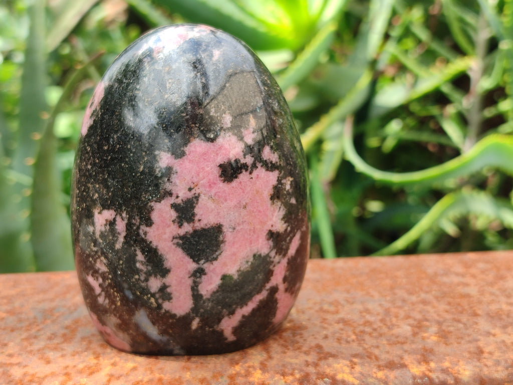 Polished Rhodonite Standing Free Forms x 4 From Madagascar - Toprock Gemstones and Minerals 
