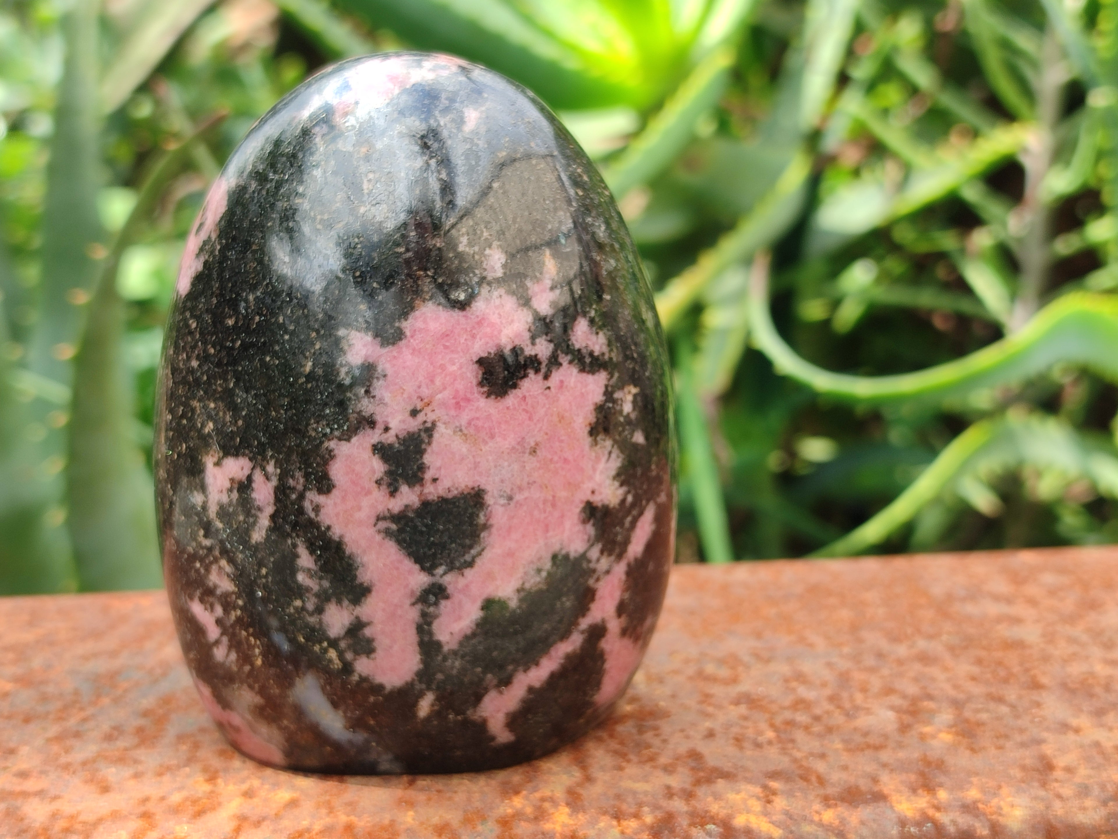Polished Rhodonite Standing Free Forms x 4 From Madagascar - Toprock Gemstones and Minerals 
