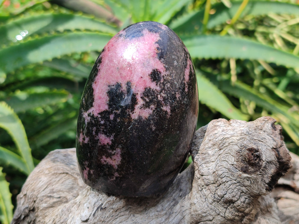 Polished Rhodonite Standing Free Forms x 4 From Madagascar - Toprock Gemstones and Minerals 