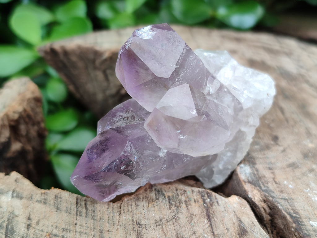Natural Jacaranda Amethyst Quartz Clusters x 14 from Mumbwa, Zambia - Toprock Gemstones and Minerals 