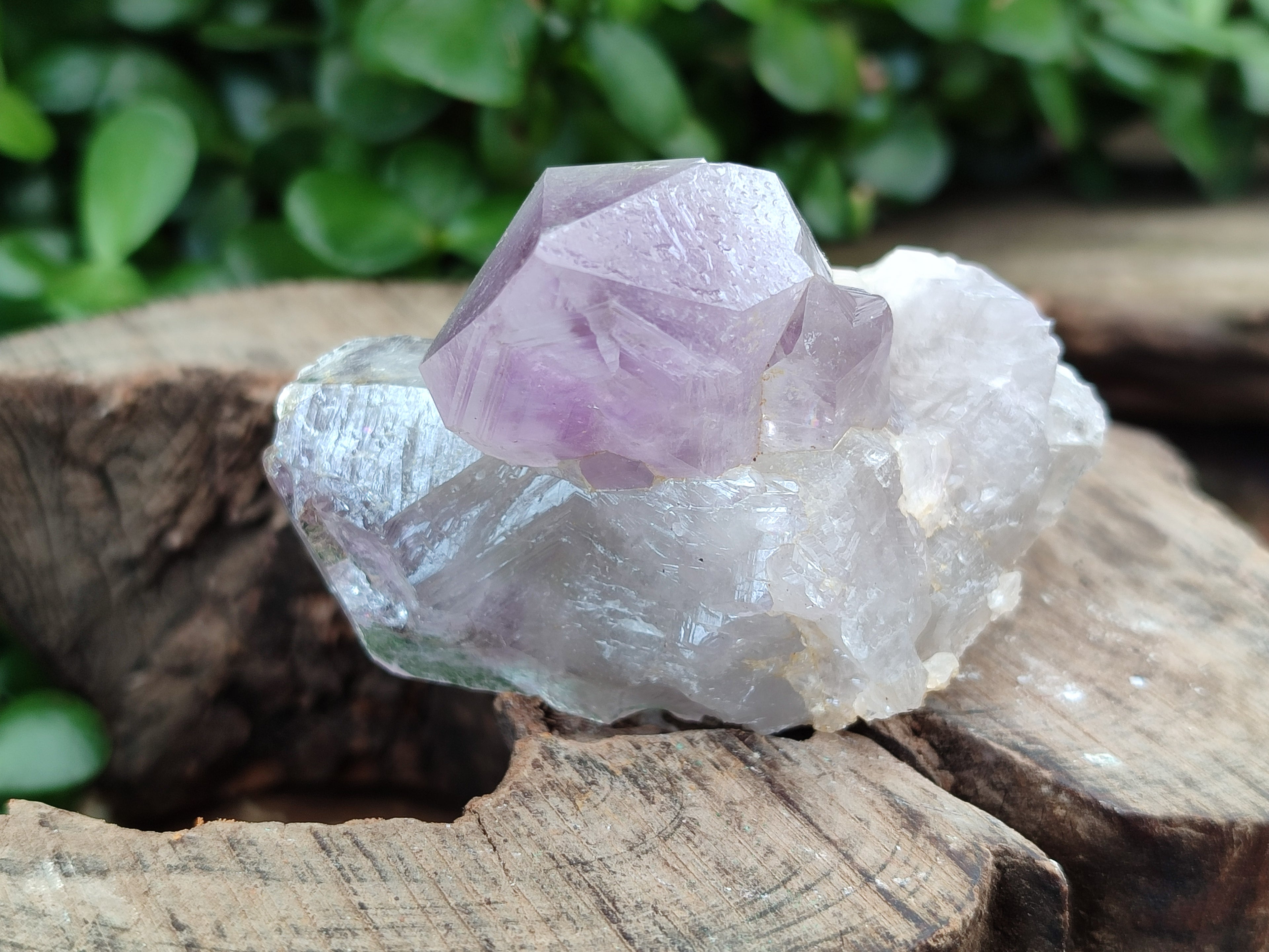 Natural Jacaranda Amethyst Quartz Clusters x 14 from Mumbwa, Zambia - Toprock Gemstones and Minerals 